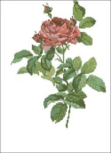 Цветок розы (винтаж)