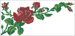 Розы (реконструкция старой схемы)