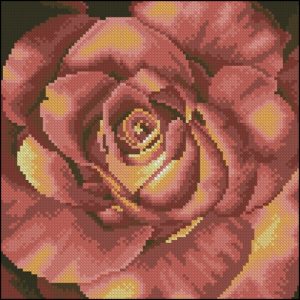 Red Rose (#35025)