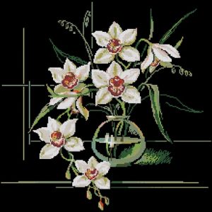 Орхидеи (Риолис)