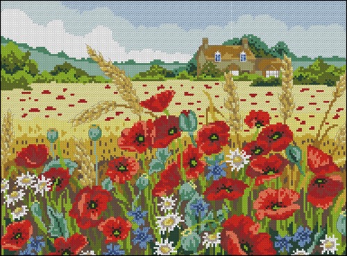 Poppy Field