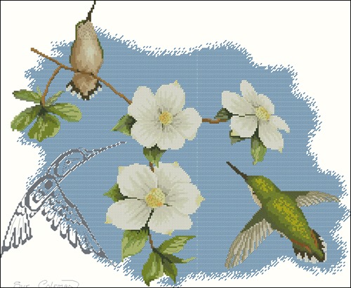 Dogwood and Hummingbird by Sue Coleman