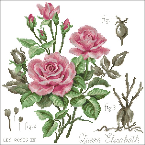 Розы (Пьер де Ронсард)