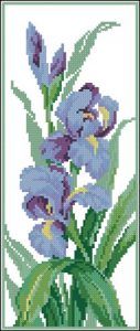 Irises