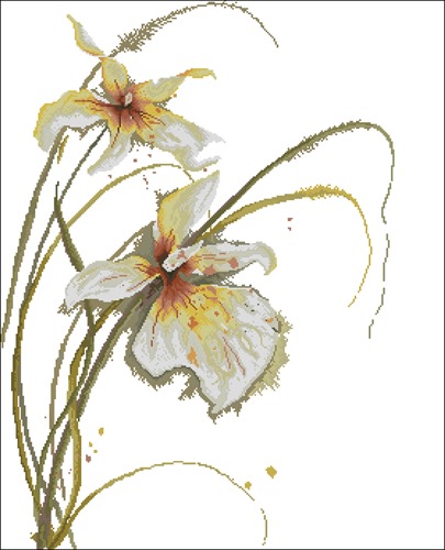 Orchid (Lanarte)