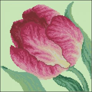 Floral fancy (Tulip)