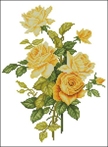 Желтых роз букет