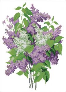 Lilac