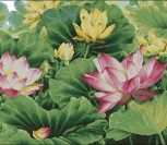 A Feast of Lotus Flowers