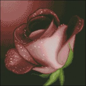 Роза для тебя