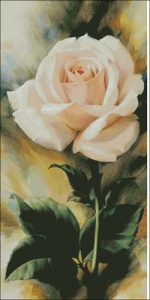 Живая белая роза