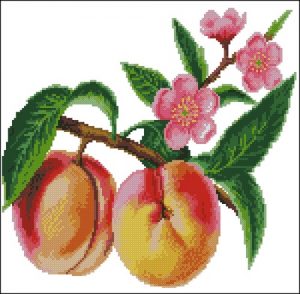 Ветка персика