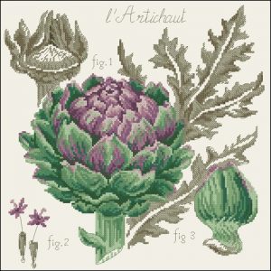 Etude Artichaut