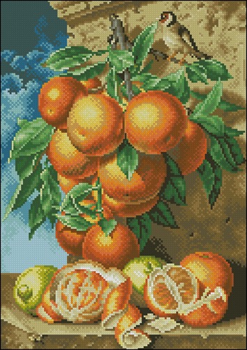 Ботаника. Апельсин, схема для вышивания