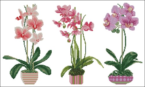 Схема для вышивания бисером Орхидеи