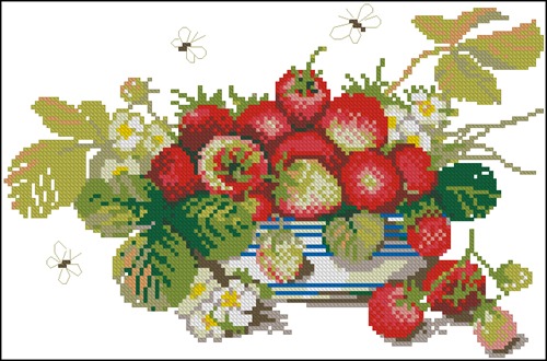 Strawberry Still Life