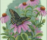 Butterfly & Daisies