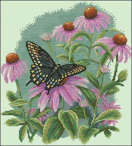 Butterfly & Daisies