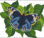 С-042 Синяя бабочка