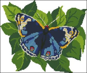 С-042 Синяя бабочка