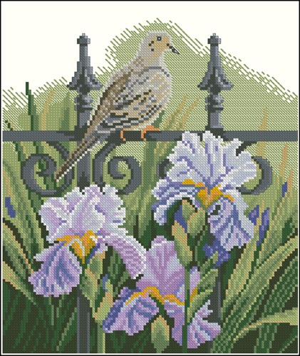 Backyard beauties - Dove
