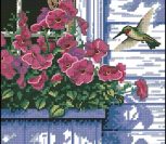 Flowers & Hummingbird