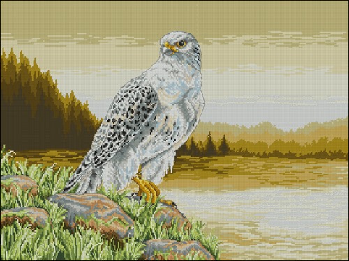 Gyre Falcon