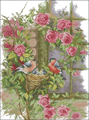 Куст роз и птички