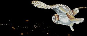 Night Flight Owl