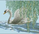 Willow Swan