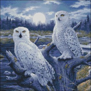 Moonlight Owls