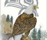 The Eagle by Sue Coleman