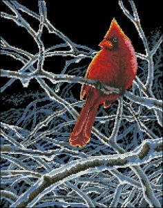 Ice Cardinal