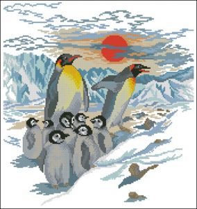 Пингвины и закат