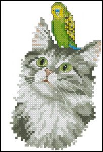 Cat with Parakeet