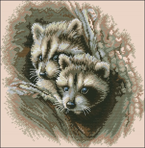 Two Racoon Cub