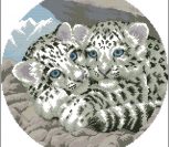 Snow Leopards cubs