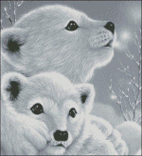 Два маленьких белых медведя