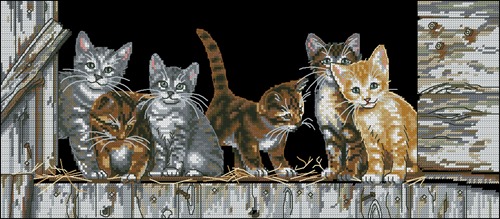 Barnyard Kitties