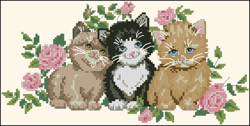 Kitties and Roses