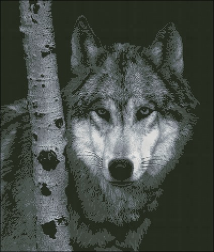 Оригинал вышивки «Черный волк»