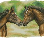 Horses Duo