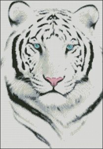 The White Tiger