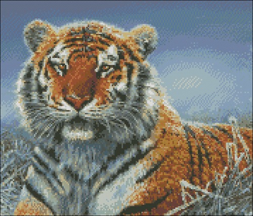 Repose : Tiger in snow