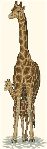 Giraffe Mother & Baby