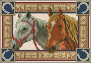 Equine Pair