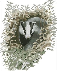 Badger (барсук)