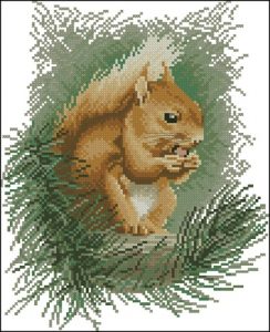 Red Squirrel (рыжая белка)