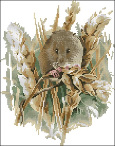 Harvest Mouse (урожайная мышь)