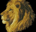 Золотистая голова льва